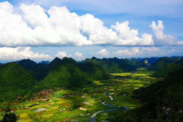 Bac Son Town in harvest time - ảnh 7